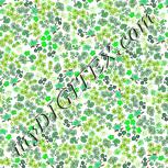 Colour:D