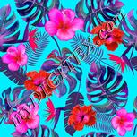 Colour:B