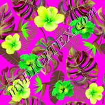 Colour:D