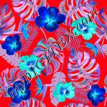 Colour:F