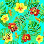 Colour:K