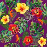 Colour:A