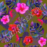 Colour:B