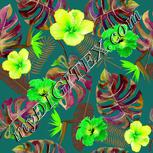 Colour:D