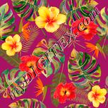 Colour:J