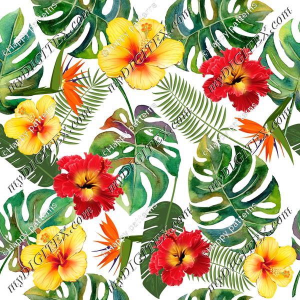 Tropical leaves and flowers on white