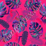 Colour:B