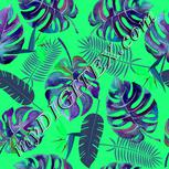 Colour:C