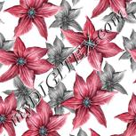 Colour:C
