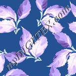 Colour:F