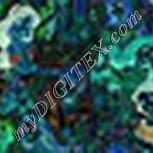 Colour:F