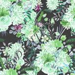 Colour:C
