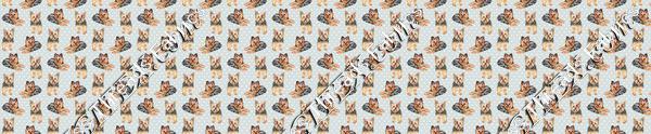 Yorkshire Terrier Pups