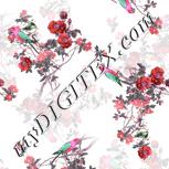 Colour:B