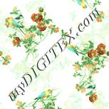 Colour:K