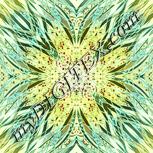 Colour:K