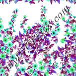 Colour:C