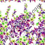 Colour:D