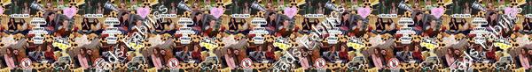 TV Gilmore Girls