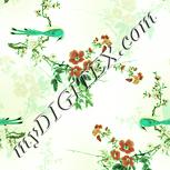 Colour:K