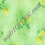 Colour:K