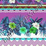 Colour:C