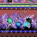 Colour:F