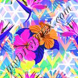 Colour:B