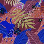 Colour:F