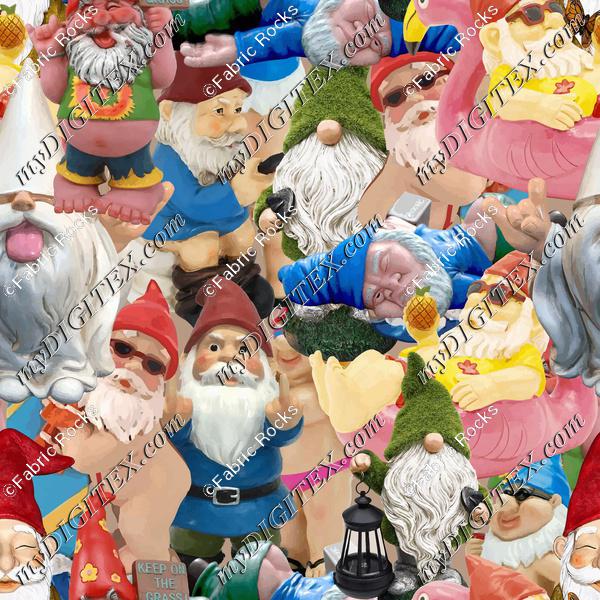 Gnomies