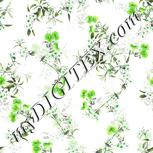 Colour:D