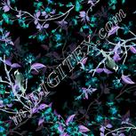 Colour:F