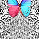 Colour:A