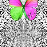Colour:C