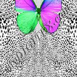 Colour:D