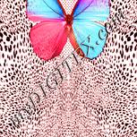 Colour:J