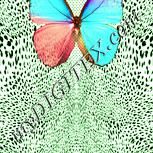 Colour:K