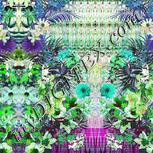 Colour:C