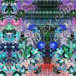 Colour:F