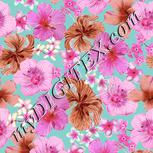 Colour:B