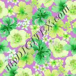 Colour:D