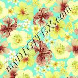 Colour:K