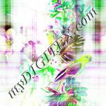 Colour:D