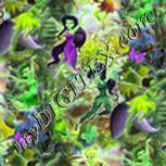 Colour:D