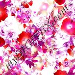Colour:B