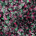 Colour:B
