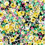 Colour:B