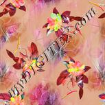 Colour:B