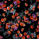 Colour:B