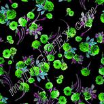 Colour:C